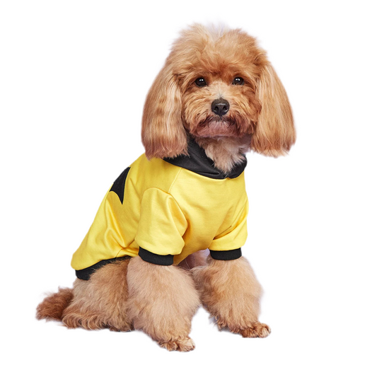 BatPup Dog Costume – Yellow & Black Superhero Pet