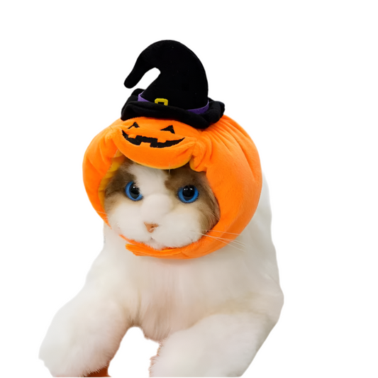 Halloween Pumpkin Witch Hat for Pets