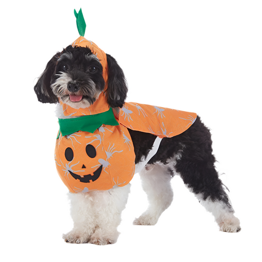 Howl-o-Ween Pumpkin Dog Outfits