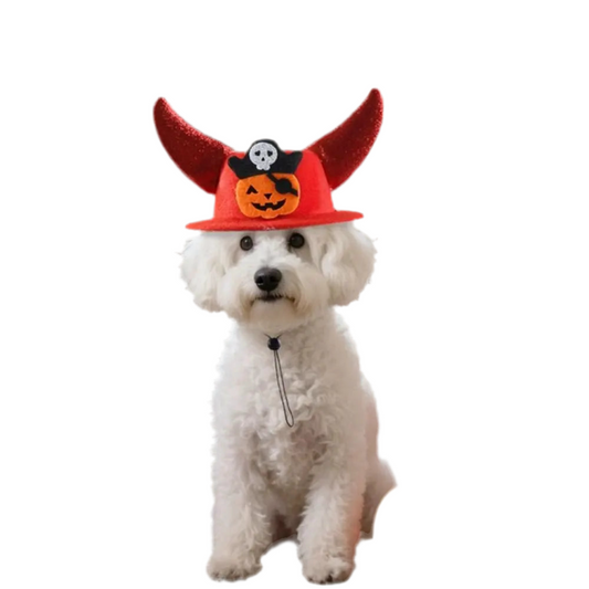 Trick-or-Treat Pumpkin Horn Hat