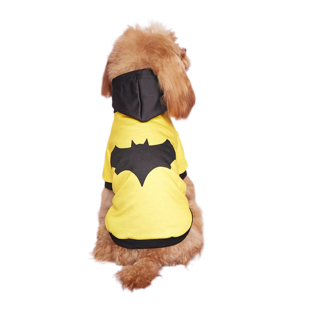 BatPup Dog Costume – Yellow & Black Superhero Pet