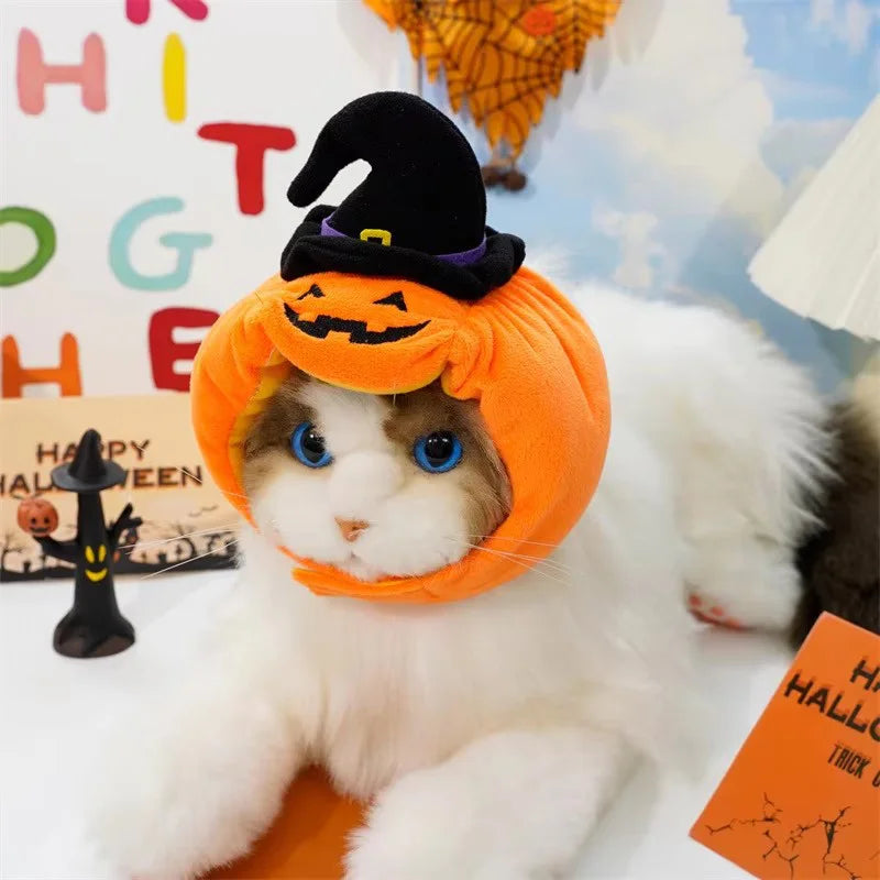 Halloween Pumpkin Witch Hat for Pets