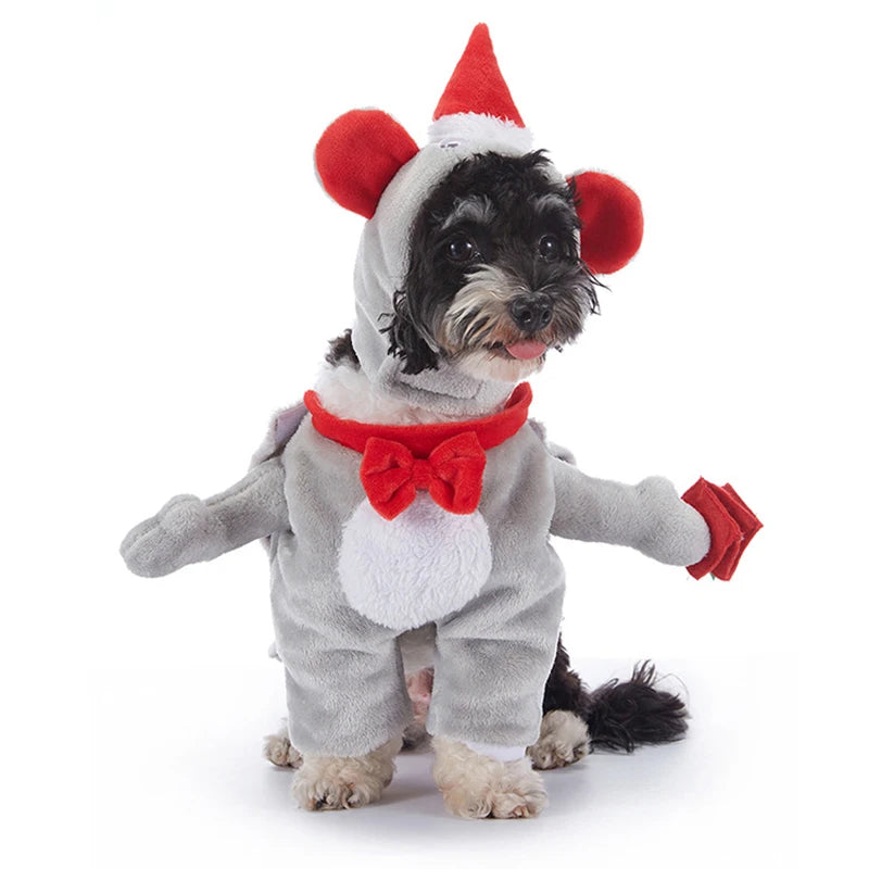 Howl-o-Ween Pumpkin Dog Outfits