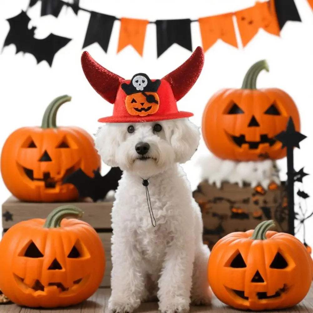 Trick-or-Treat Pumpkin Horn Hat
