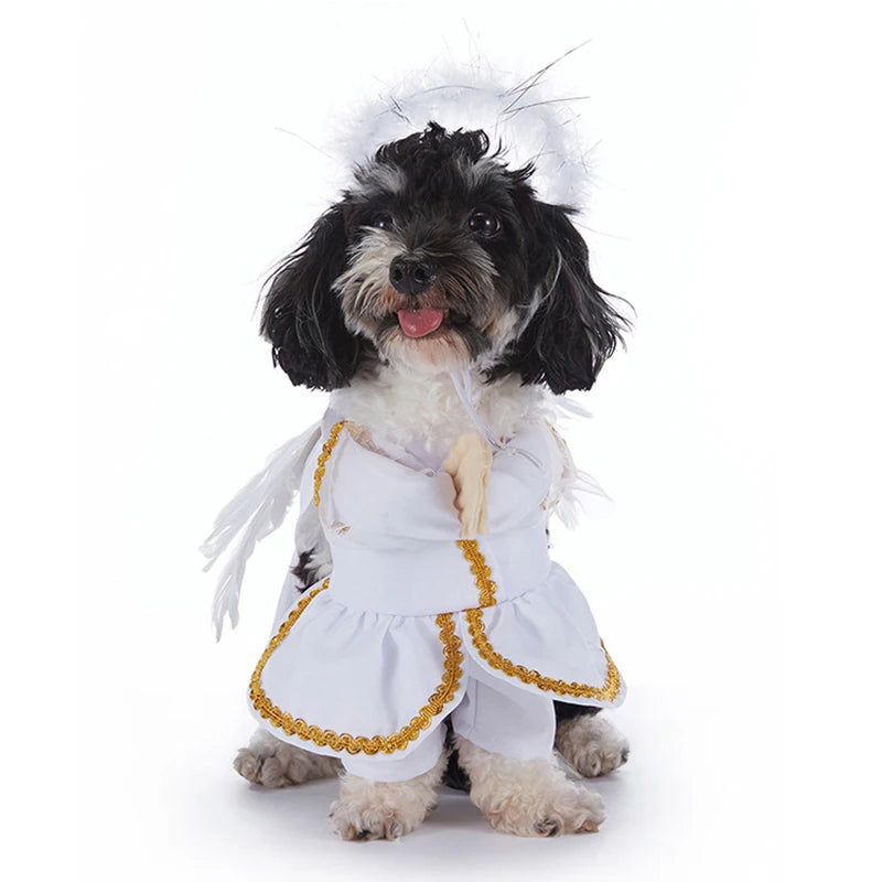 Howl-o-Ween Pumpkin Dog Outfits