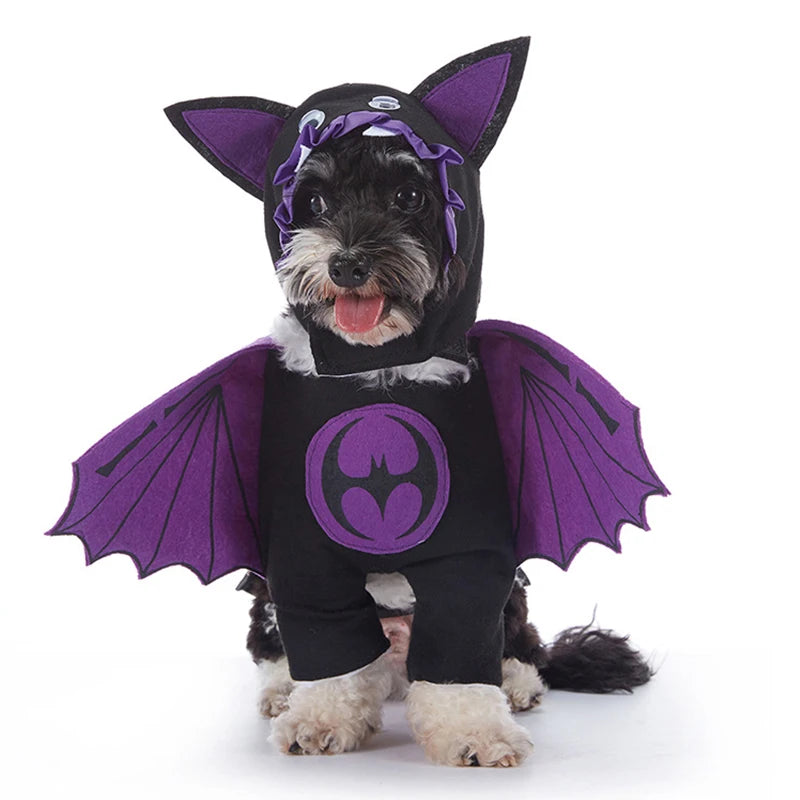 Howl-o-Ween Pumpkin Dog Outfits
