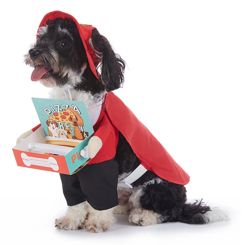 Howl-o-Ween Pumpkin Dog Outfits