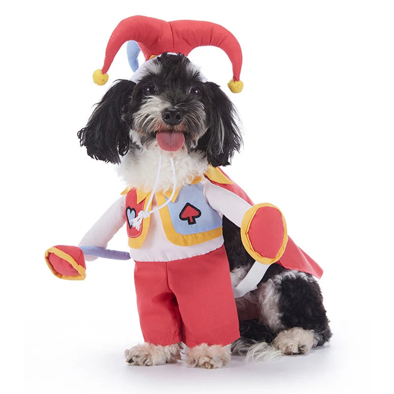 Howl-o-Ween Pumpkin Dog Outfits