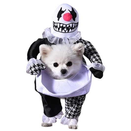 Playful Pooch Costume