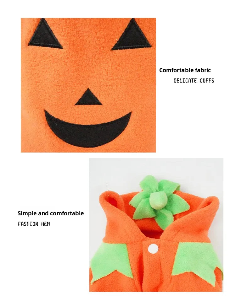 Pumpkin Pooch Costume