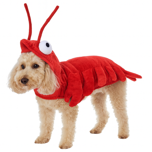 Puppy Lobster Dress-Up