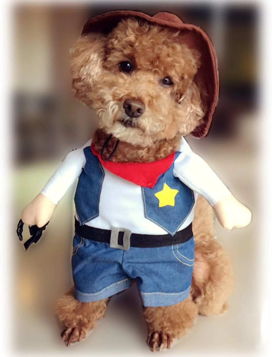 Sheriff Pup Cowboy Outfit