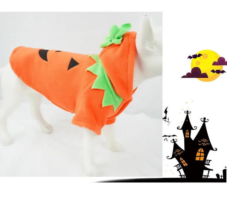 Pumpkin Pooch Costume