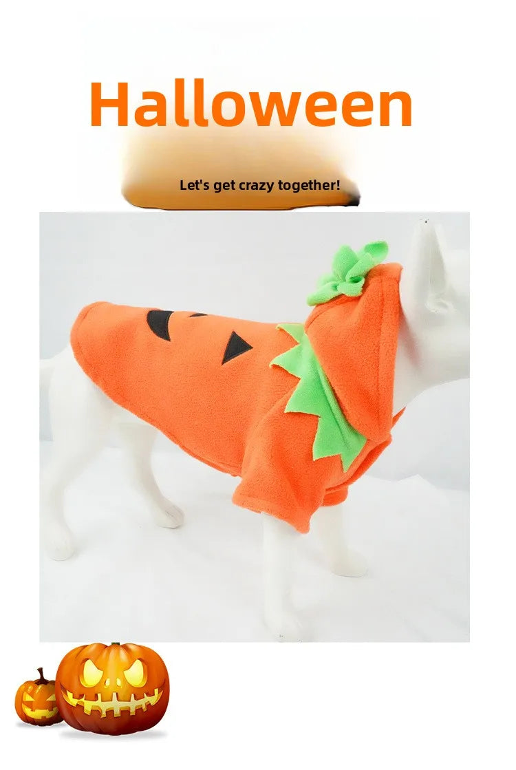 Pumpkin Pooch Costume