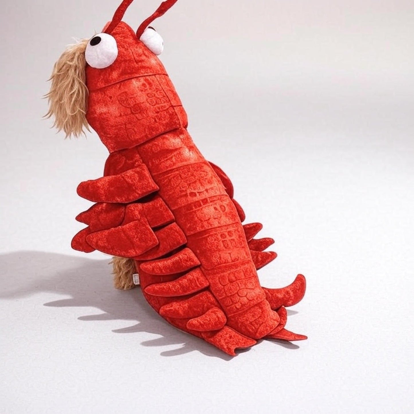 Puppy Lobster Dress-Up
