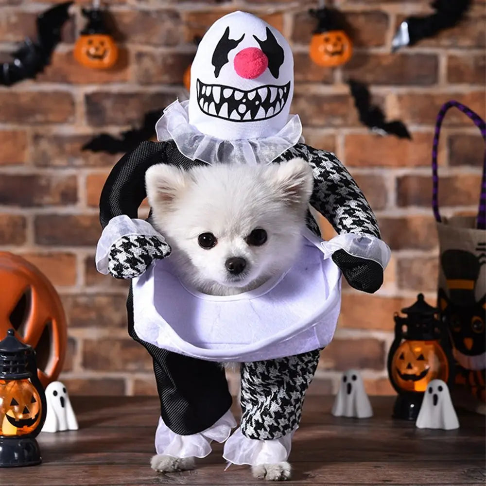 Playful Pooch Costume