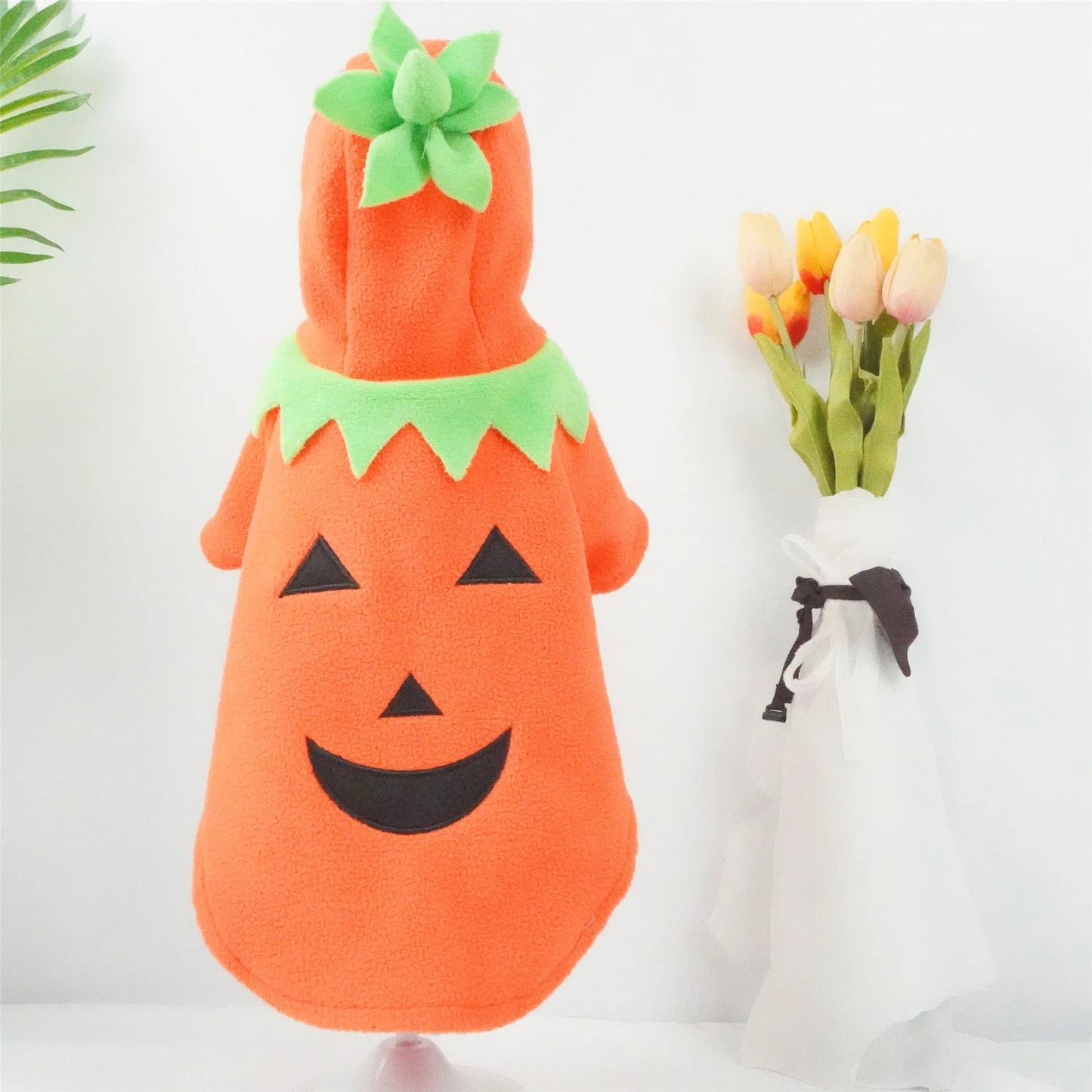 Pumpkin Pooch Costume
