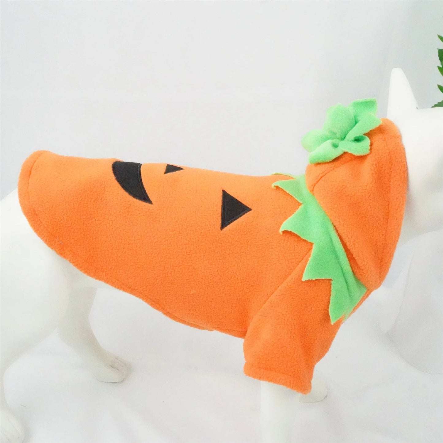 Pumpkin Pooch Costume