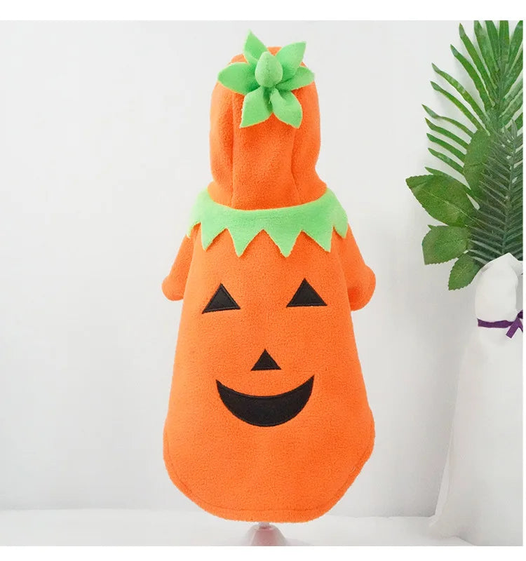 Pumpkin Pooch Costume