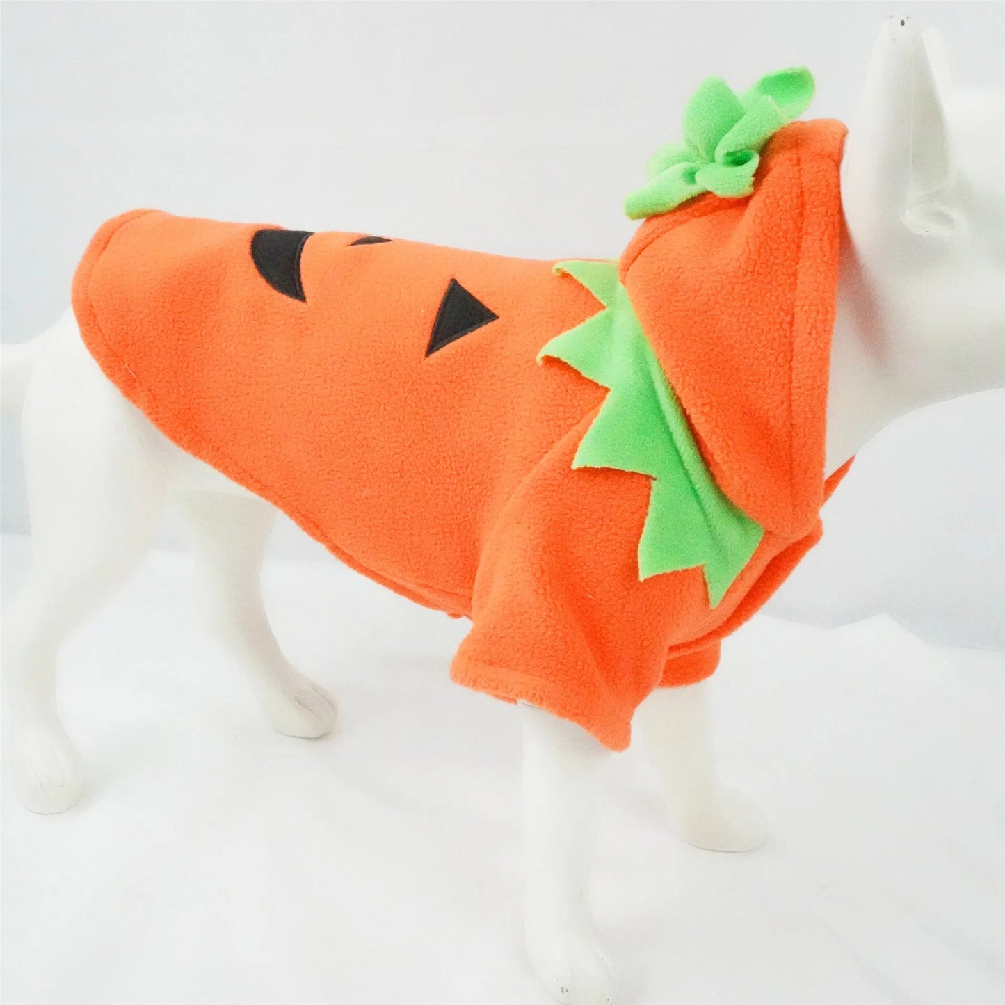 Pumpkin Pooch Costume